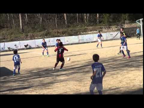 GDC CARVALHOSA vs FREAMUNDE