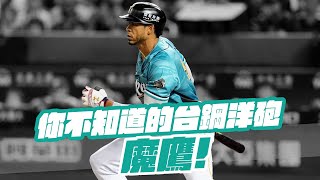 [分享] 你不知道的台鋼洋砲魔鷹 他其實是料理達