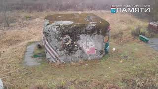 Ленфронт памяти Дот Дёмина