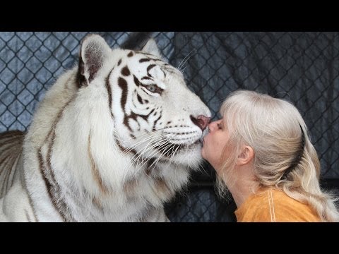 Meet Florida Woman Who Hand-Feeds Her Tigers