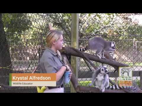 Long Island Game Farm - Customer Success Story (Krystal Alfredson - Wildlife Educator)