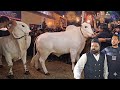 Farrukh Cattle Farm Grand Dawat New Entry REVEALED Very Dangerous Bulls Bakraeid 2026