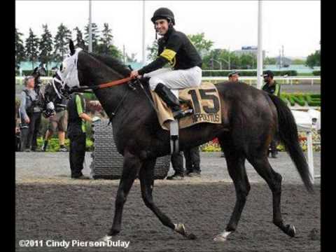 2012 Thoroughbred In Memoriam