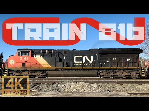 WATCH THIS HEAVY CN GRAIN TRAIN 816 ON THE RAILS! 🚂