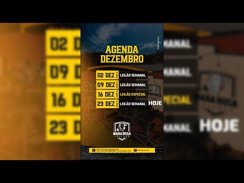 MARA ROSA LEILÕES - GOIÁS - LEILÃO DE GADO DE CORTE 23/12/2025