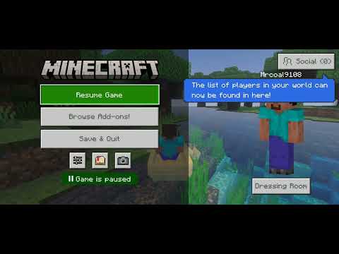 Starting a new journey in Minecraft