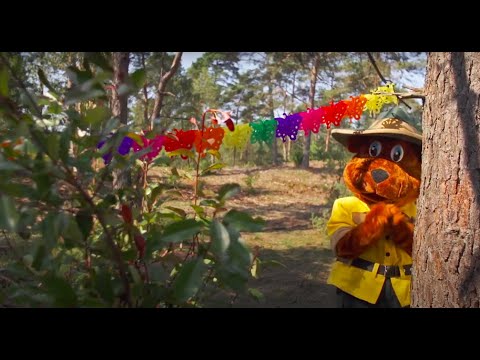Feest - De Avonturen van Bollo (Seizoen 1)