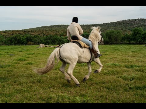 HEKO, Mike Wit - Narcos Freestyle (Video Oficial)