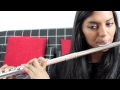 Story of my life - One Direction Flute Cover 