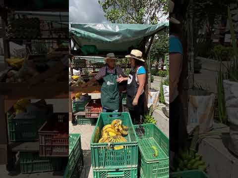 “En El Retiro TODO huele a campo: 🥔#elretiroantioquia #colombia #campesinos #artesanos