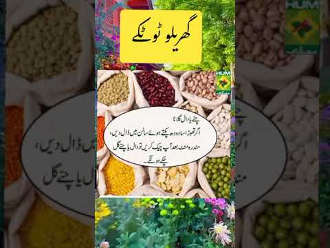 zubaida apa ke totke -gharelu nuskhy #shortvideo #islamiqoutes #quotes #islamiccontent
