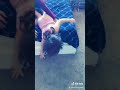 Something Went Wrong Funny
