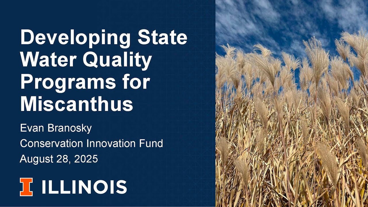 Developing State Water Quality Programs for Miscanthus