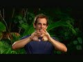 Opening To Bee Movie 2008 DVD Full Screen Version