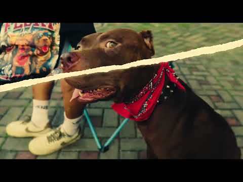 KING FLOKI CINTA TANPA SYARAT FT AGIL VERSI SLOW