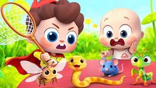 Kid Becomes Superhero | Superhero, Catch the Bugs! | Nursery Rhymes & Kids Songs | BabyBus