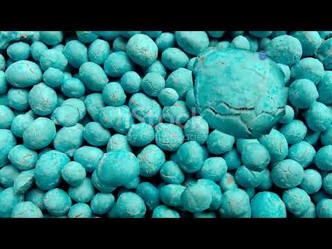 L'azote : Un élément essentiel à la vie