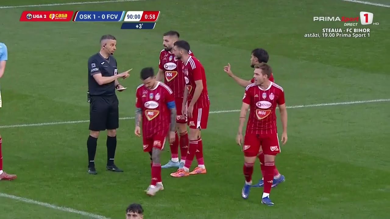 Sepsi OSK vs Voluntari Highlights