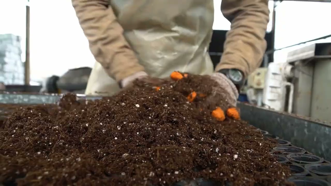 Video Institucional Genefor - Agencia Maite Media