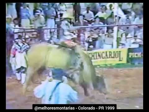 🇧🇷 Rogério Ferreira dos Santos x Gangster - Rodeio de Colorado 1999 #rodeio #rodeo
