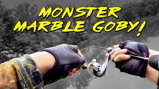 Abu garcia mass beat ms-602xul