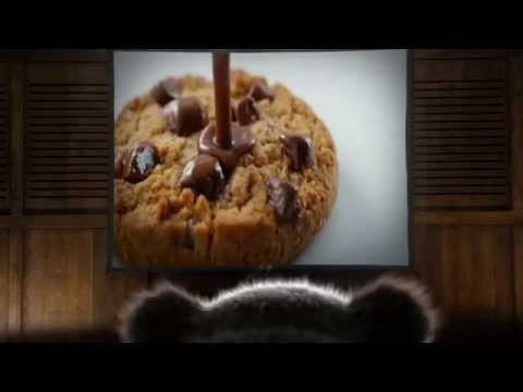 Fox's Advert: More Chocolate