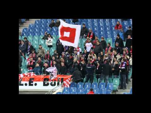 Hallescher FC
