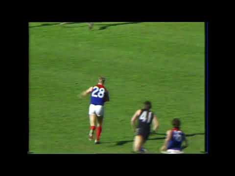 Strength of the Wind at Waverley Park - 1985 Round 16
