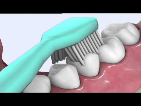 YouTube video 8pLHghU5GY4