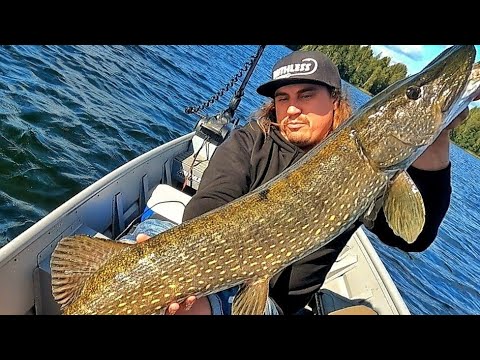 +120CM HAUKI | PIENELLÄ JIGILLÄ ISO KALA | HAUENKALASTUS