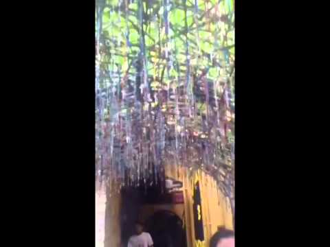 Happy Birthday Iara :D