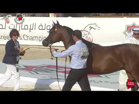 N 355 FAKHR AL ZOBAIR   Emirates AHBC