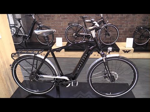 Amazing City Bike ! 2023 Wanderer E-Tourer I F360