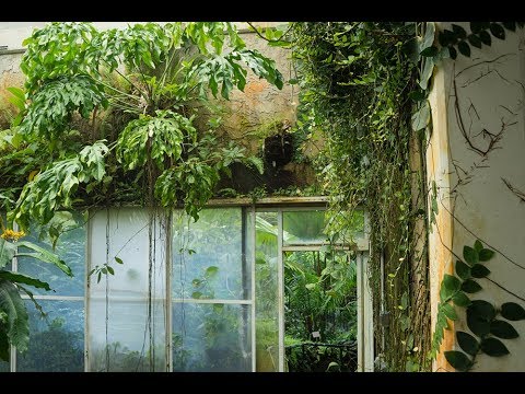 Fairchild Botanic Garden Tour Q2 2018 — Plant One On Me — Ep 065