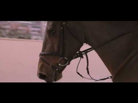 Thurgauer Sportpreis 2022 - Martin Fuchs