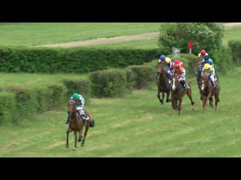 Šurany 7.5. Dostihy 2 - Memoriál Ing. Róberta Vrbu