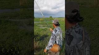 Download lagu Casting Ikan Gabus Pake Joran Tegek|Berani?? mp3