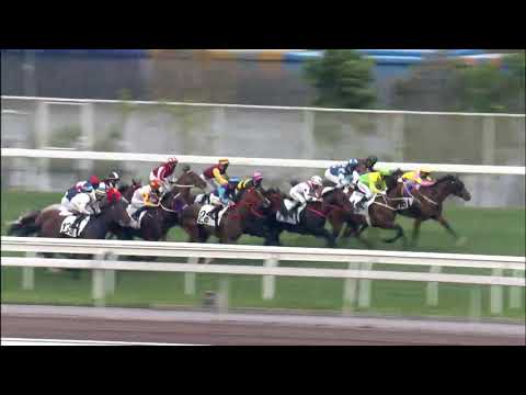 速遞奇兵21/04/25……(622)第十塲二班1200米