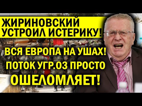 ИСТЕРИКА ЖИРИНОВСКОГО! ВСЯ ЕВРОПА НА УШАХ - ПОТОК УГР.ОЗ ОШЕЛОМЛЯЕТ!