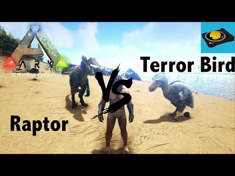 Ark Insight -- Raptor V.S Terror Bird