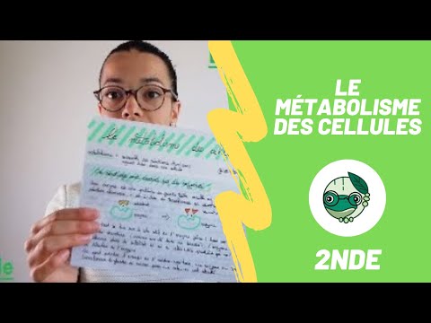 Le métabolisme des cellules - 2nde - Madame SVT