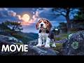 This Film Heals The Soul Better Than Any Miracle Full Family Adventure Movie