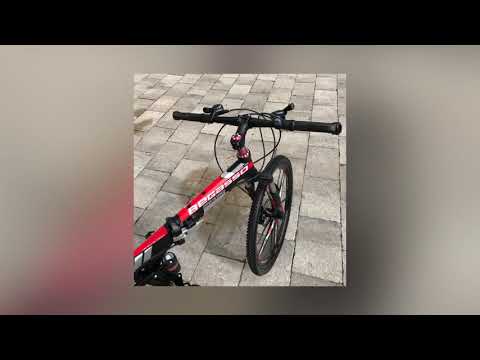 Foldable Aluminum Road Mountain Bike Magnesium Alloy Integrated 10 Spoke Wheels