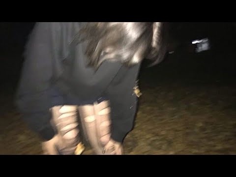 inteligencia suprema + IQ superior | subliminal