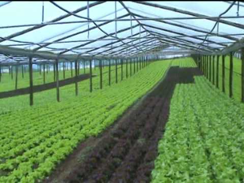 How to Use a Disc Harrow Model 300