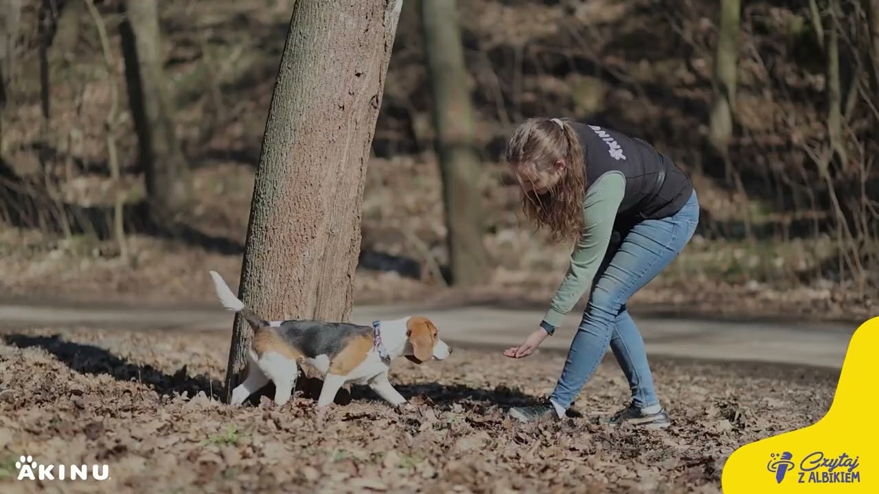 Jak nauczyć psa komendy „okrąż!”