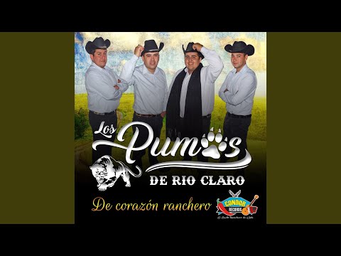 Yo Vi Llorar a un Hombre