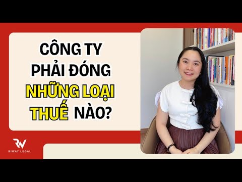 Thành lập Công ty phải đóng những loại Thuế nào
