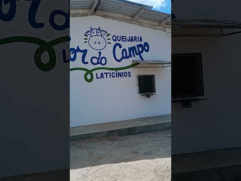 FLO DO CAMPO MELHOR QUEIJO DE MANTEIGA DA PARAÍBA 06/11/2025