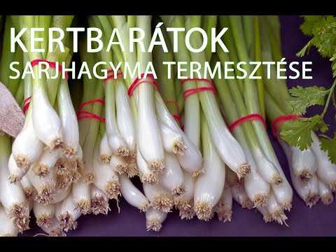 paraziták termesztése